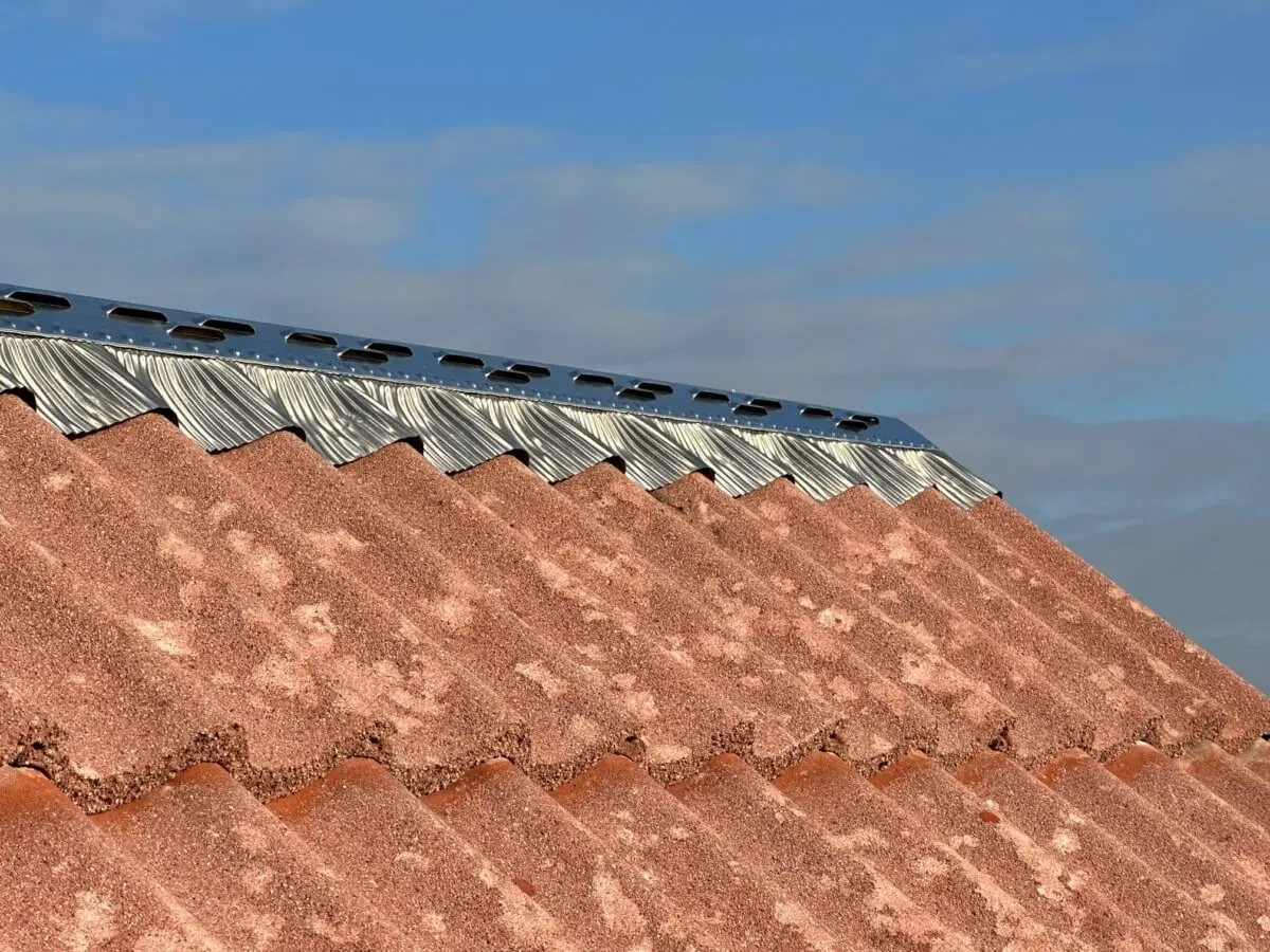 pose cloisoir ventile toiture