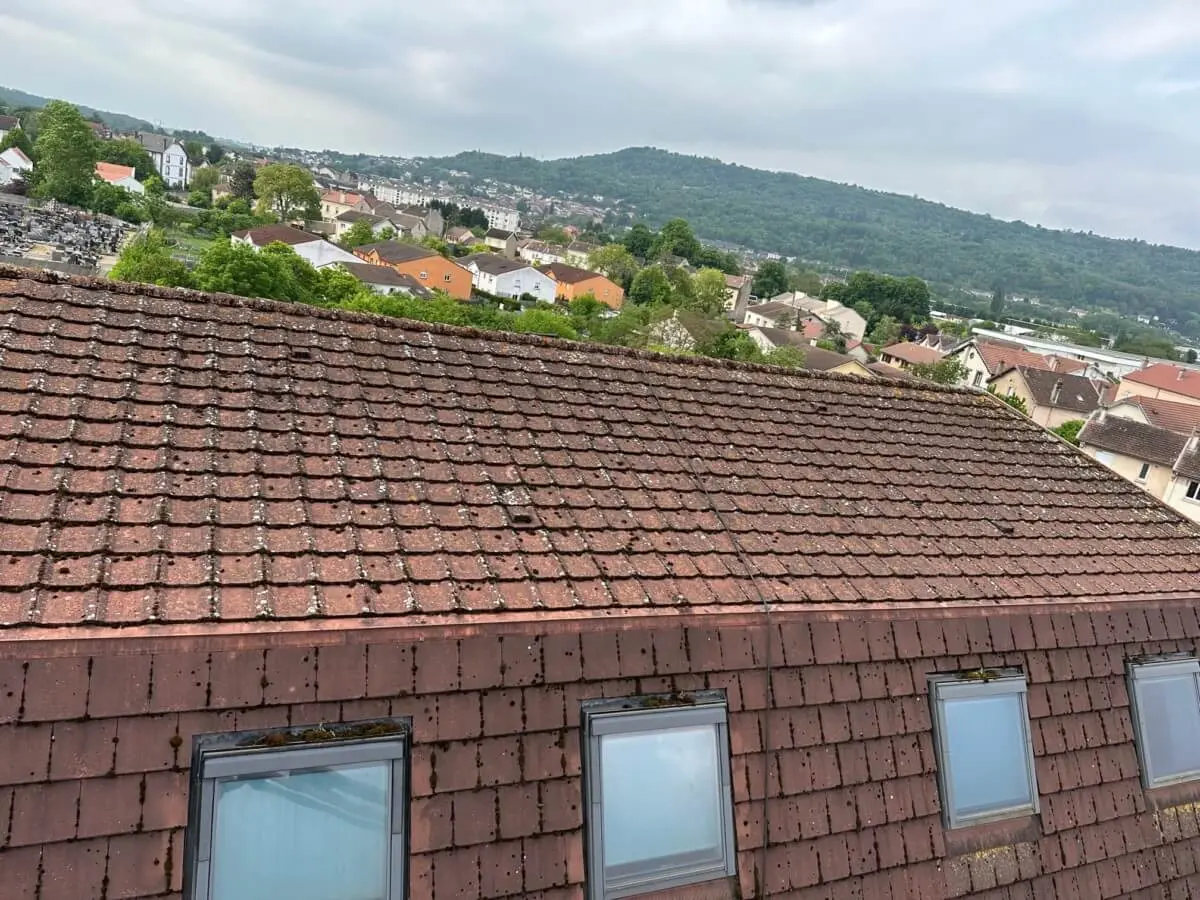 traitement de toiture avant