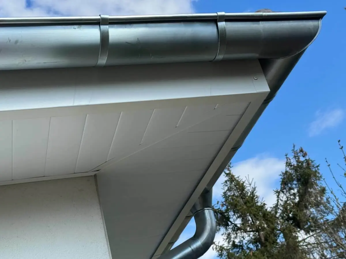 zinguerie caisson sous toiture et cache moineaux